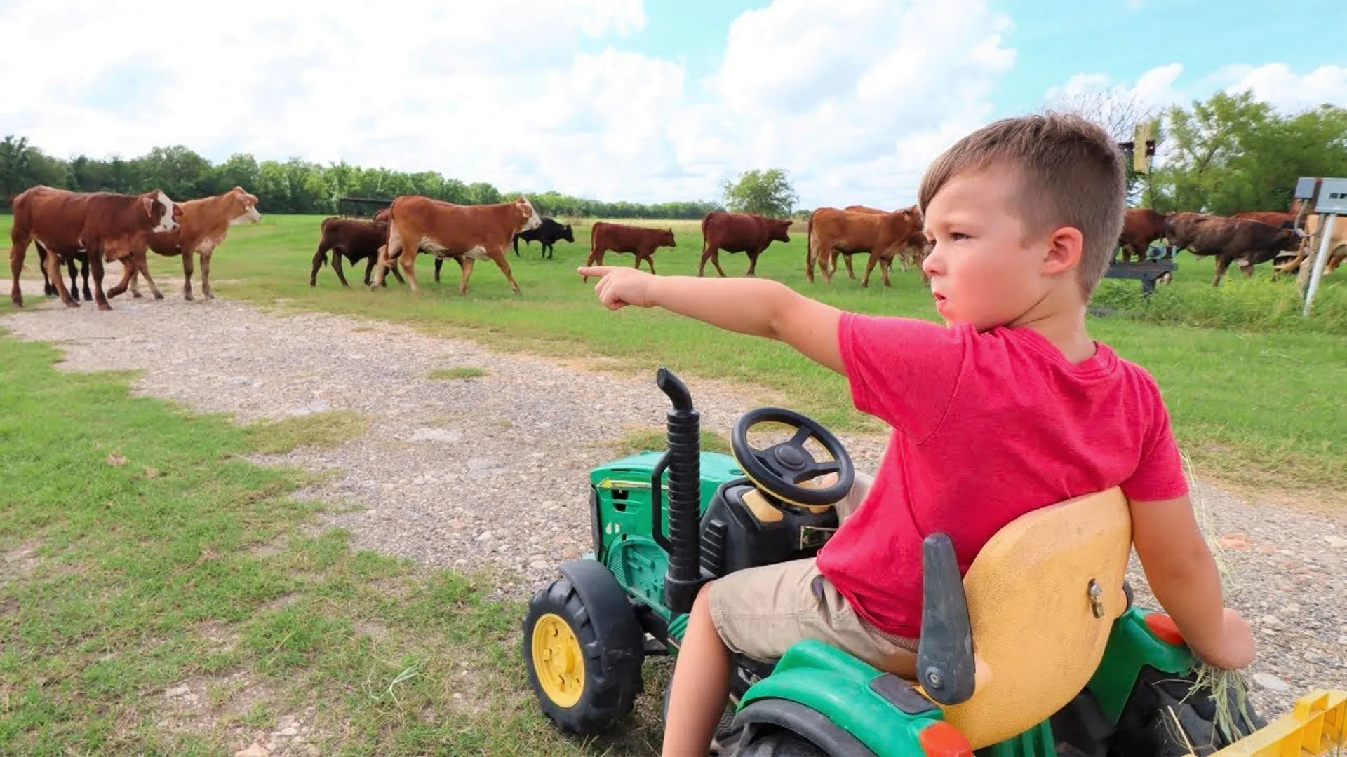 thumbnail - S1:E3 Exploring Green Pastures!