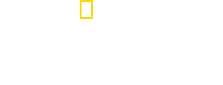 月之鲨途