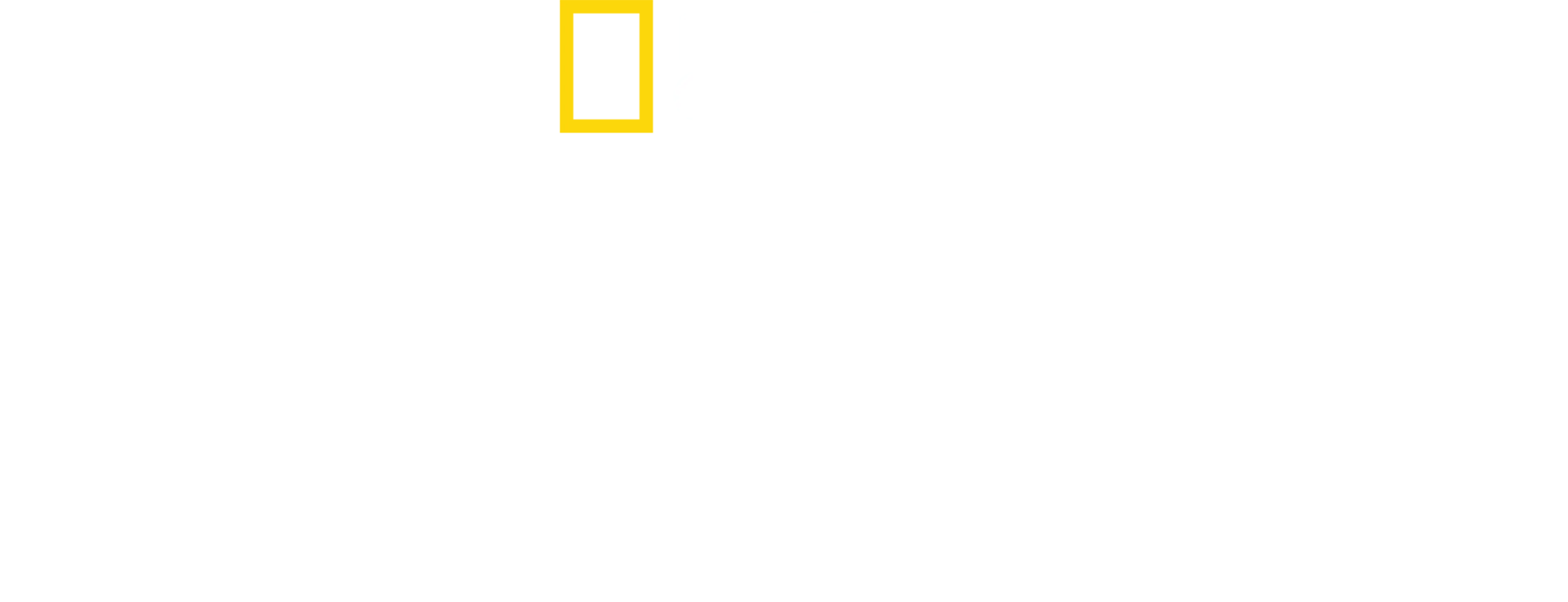月之鲨途