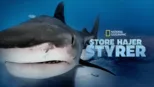 thumbnail - Store hajer styrer