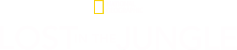 Lost in the Jungle