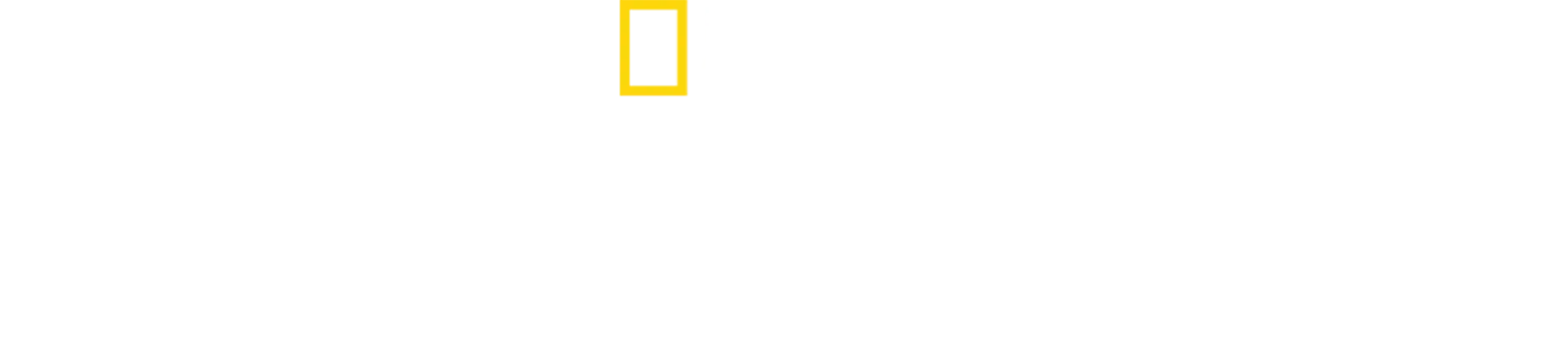 Lost in the Jungle