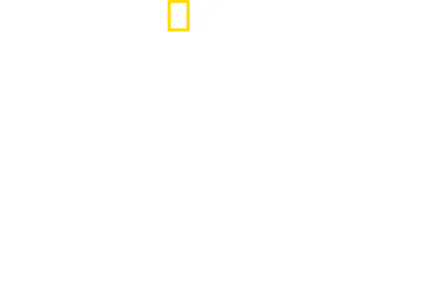 하늘에서 본 유럽