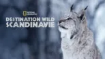 thumbnail - Wild Nordic