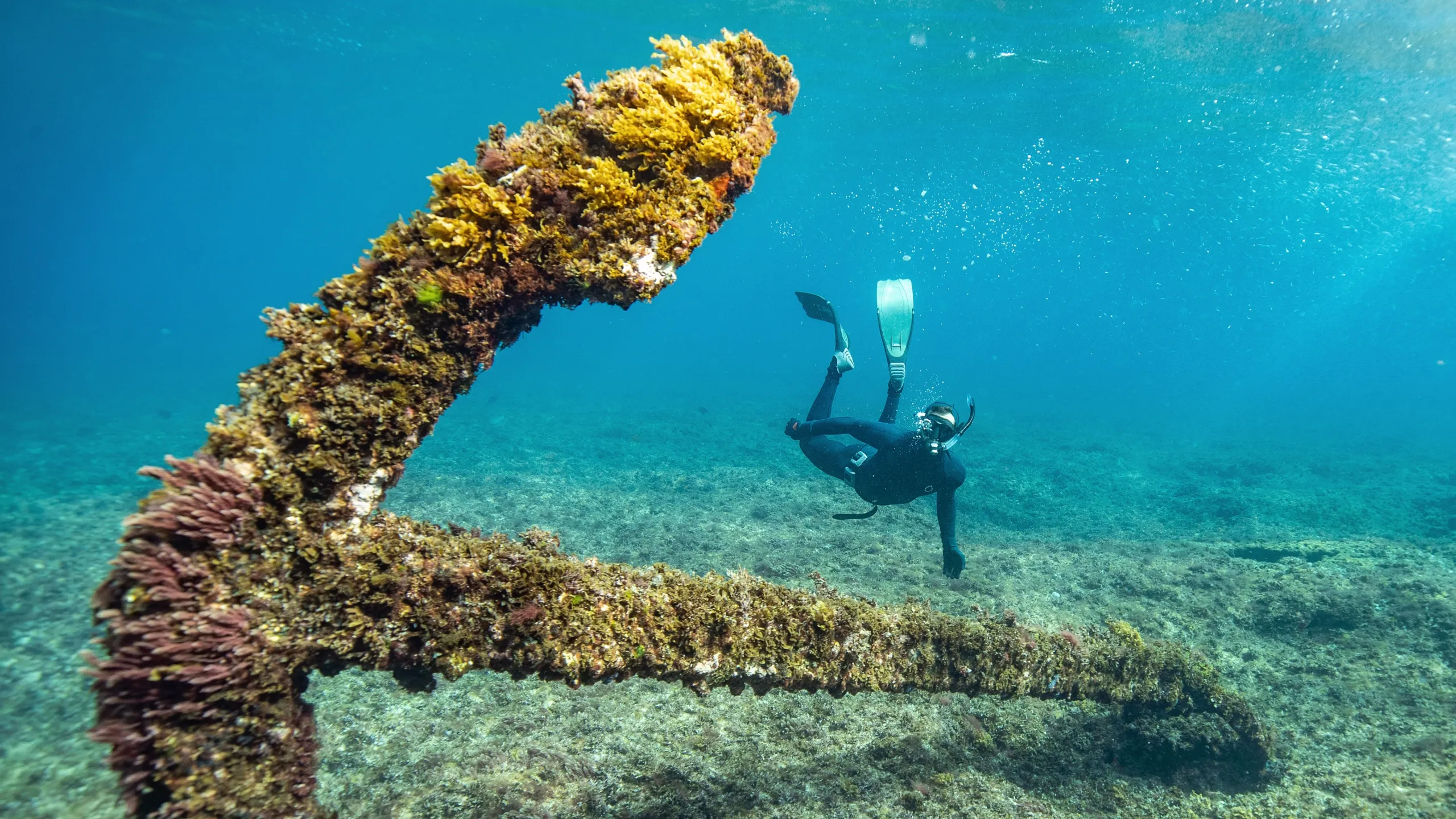 thumbnail - S1:E4 Australia's Oldest Shipwreck