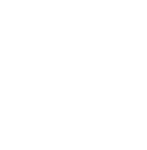 Bolt Supercão