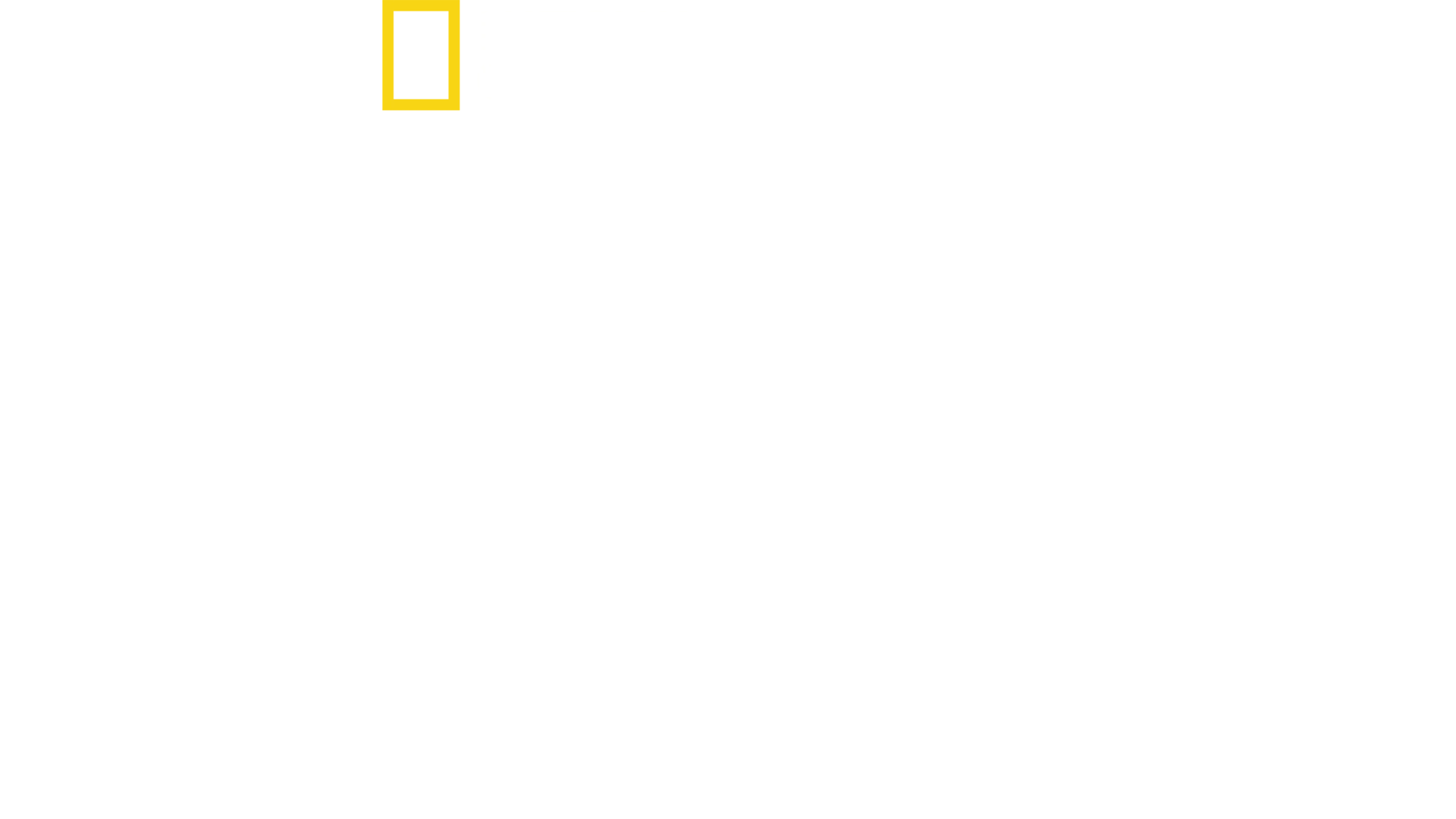 灾难现场直击