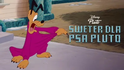 Sweter dla psa Pluto