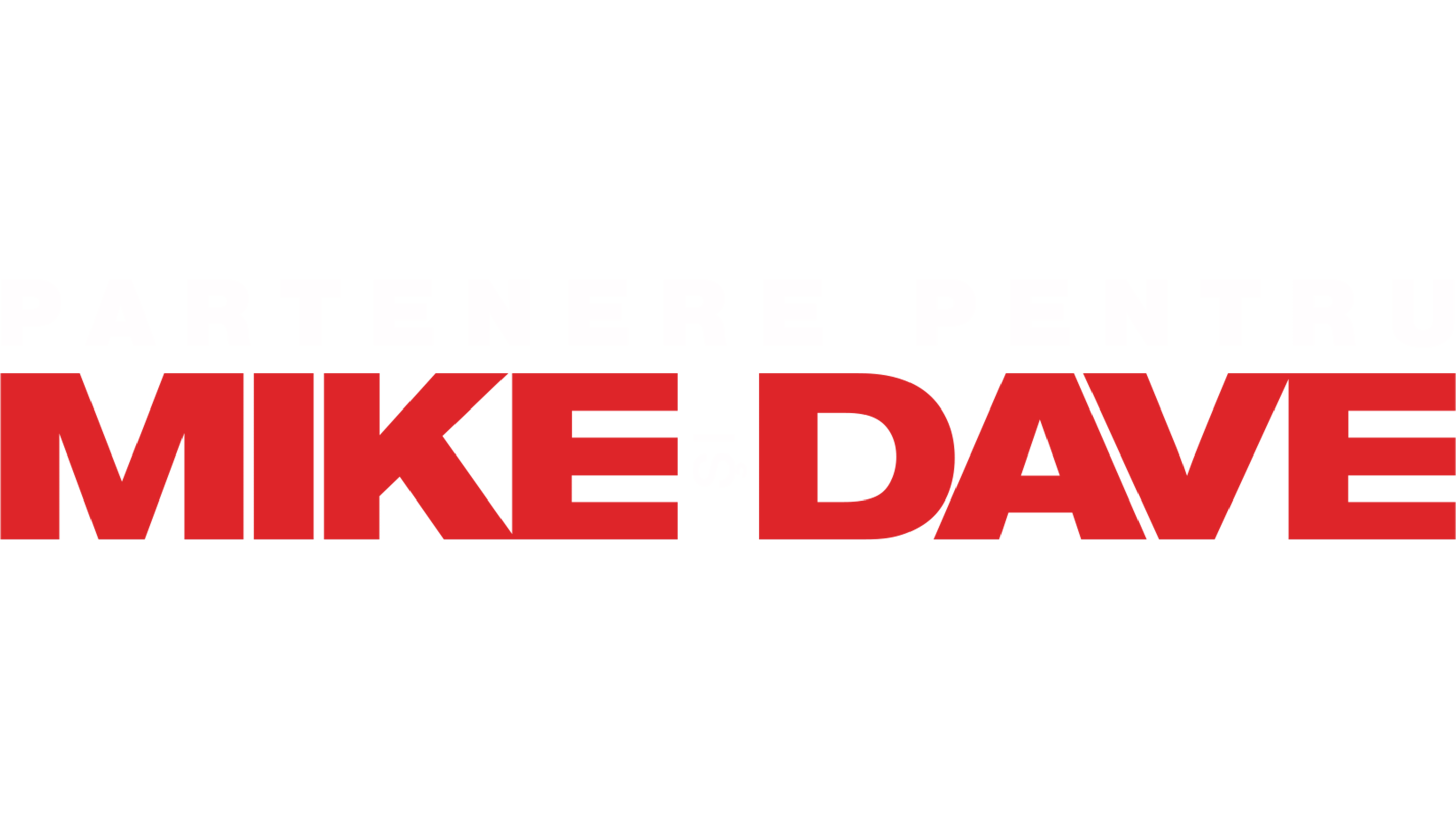 Partenere pentru Mike şi Dave