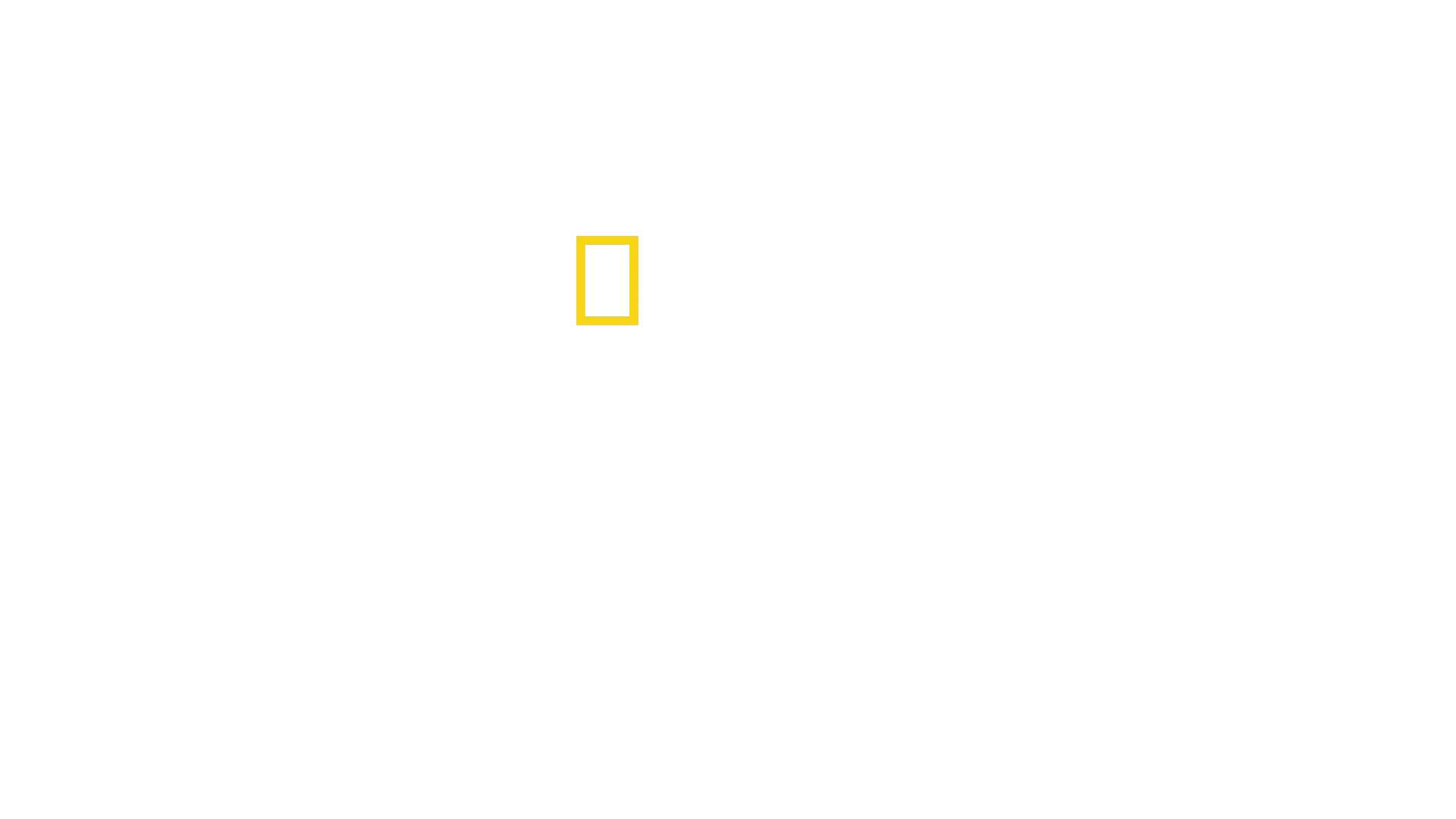電影《大白鯊》50週年：終極內幕