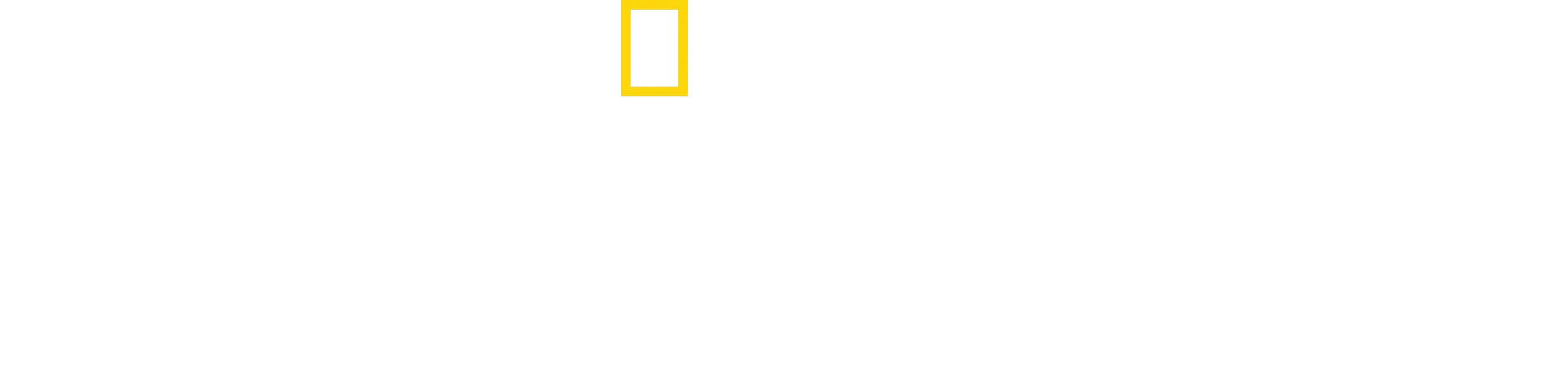 電影《大白鯊》50週年：終極內幕