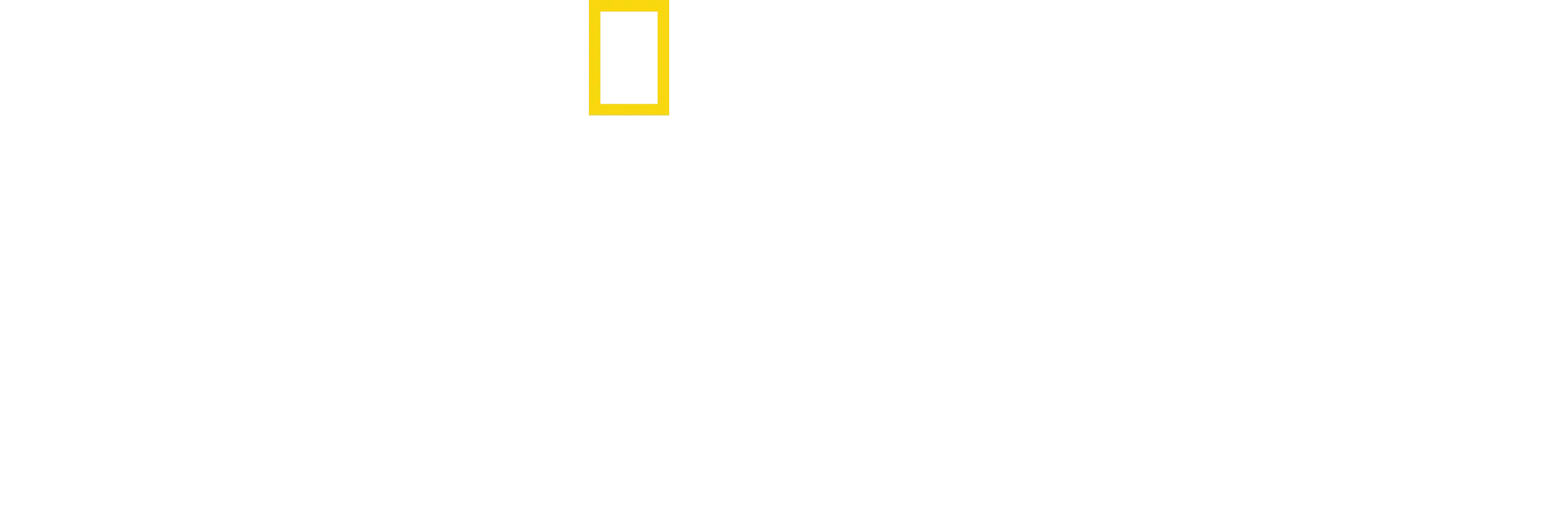 Vita da scimpanzé