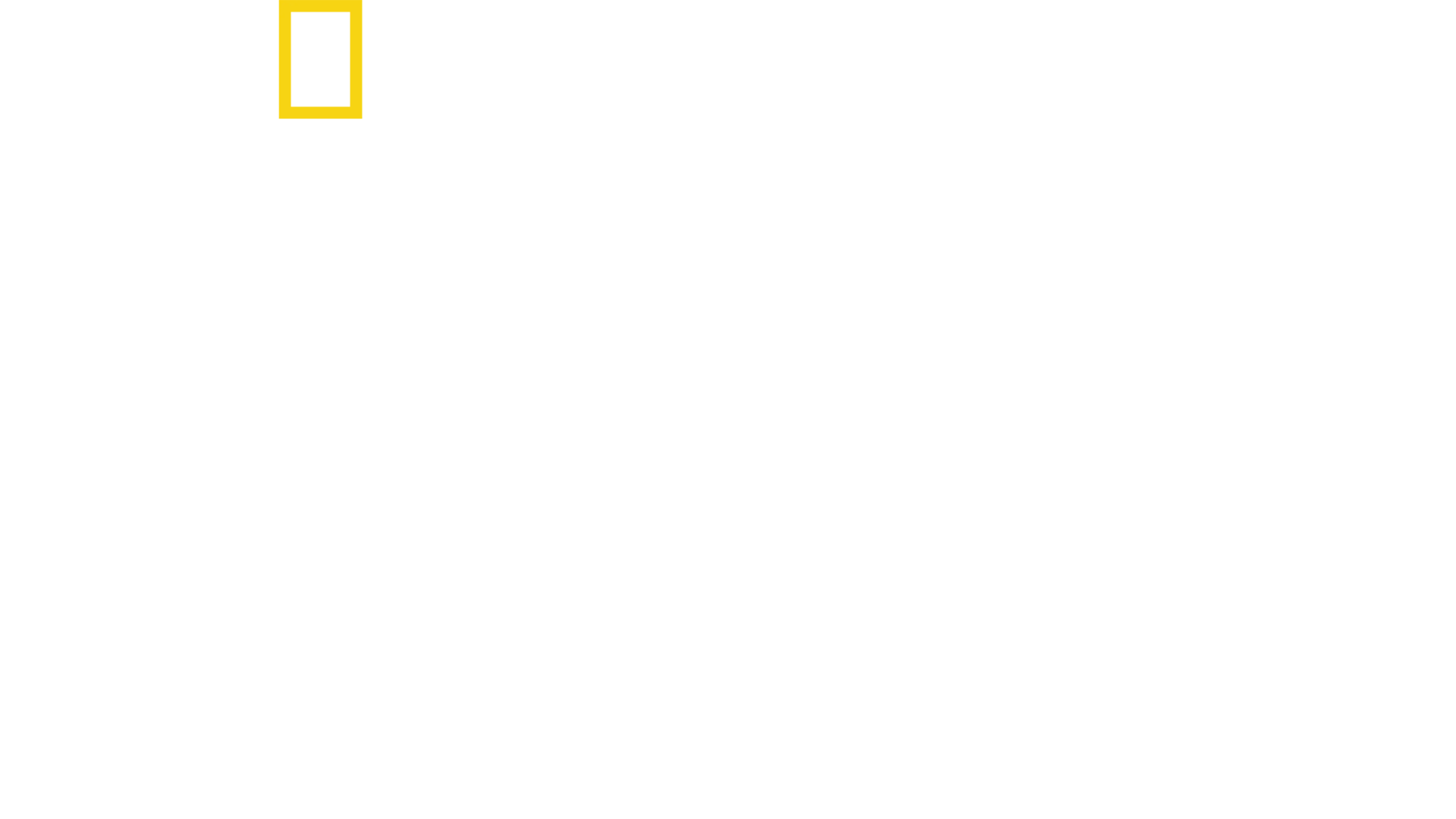 千禧年災難悲劇