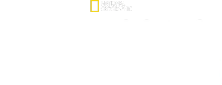 Witness To Disaster