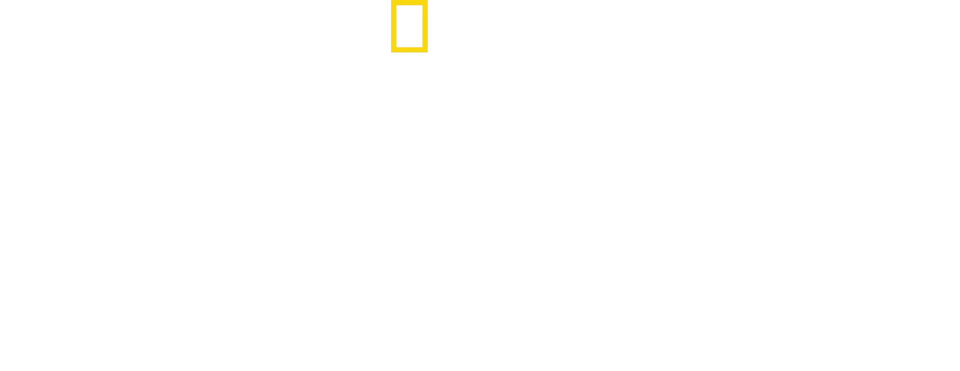 Witness To Disaster