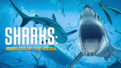 Haie: Monster Der Medien