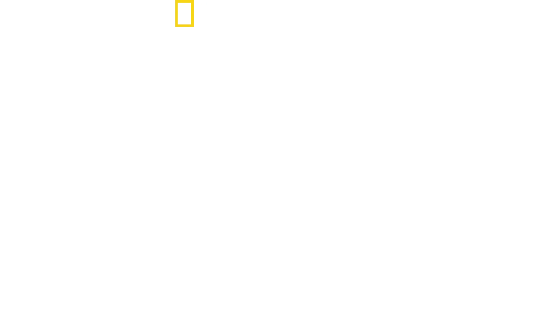 A cápák világa Bertie Gregoryval