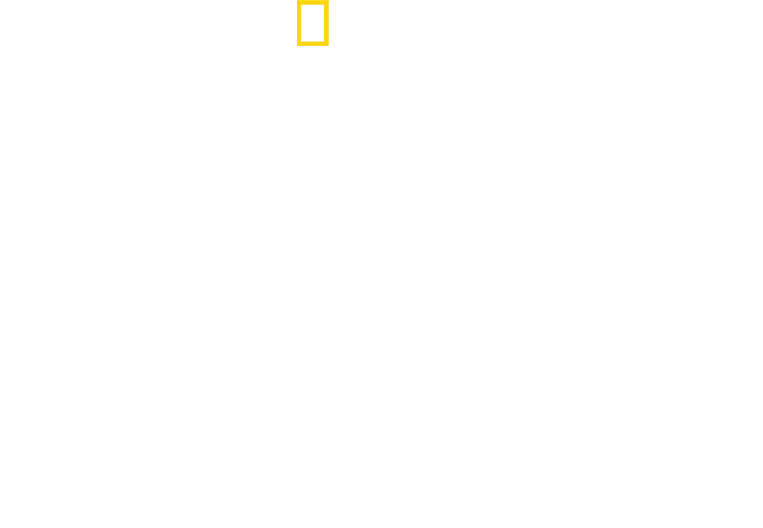 A cápák világa Bertie Gregoryval
