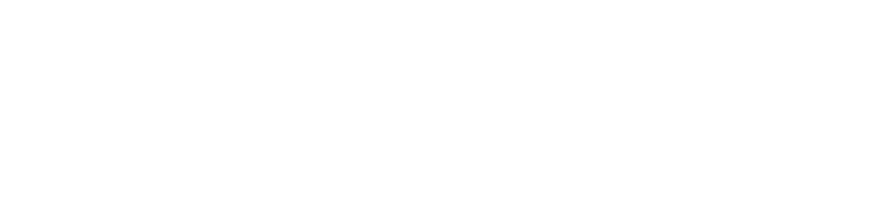 Jednostka 19