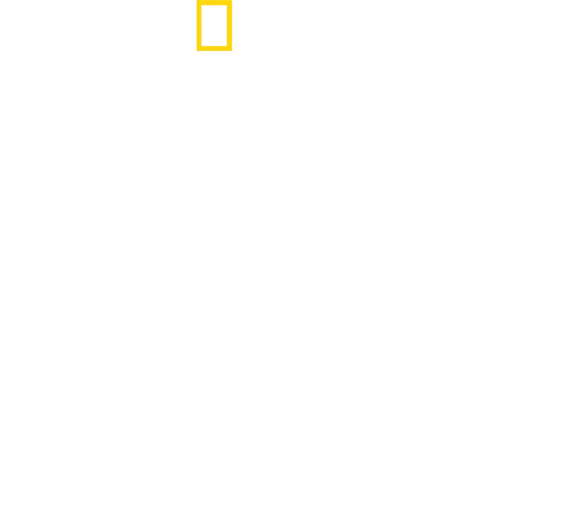 Haie hautnah mit Bertie Gregory