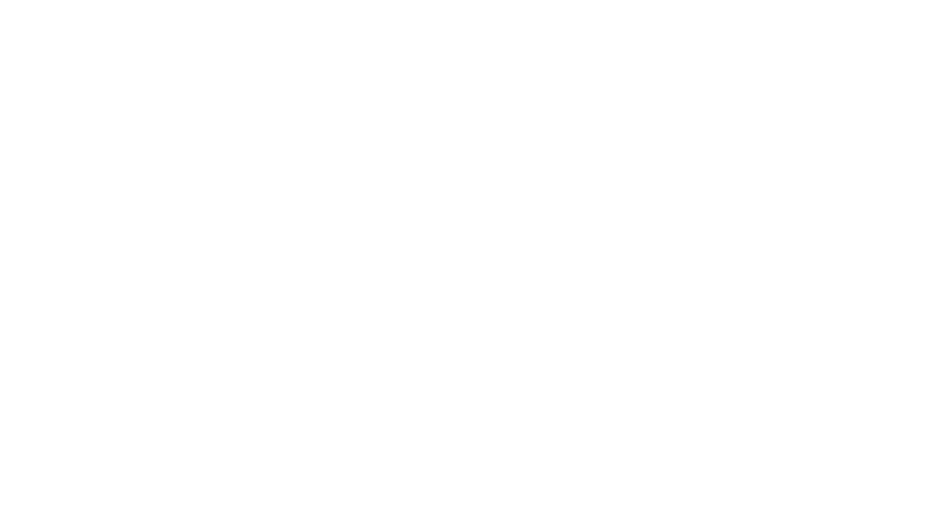 The Pirates