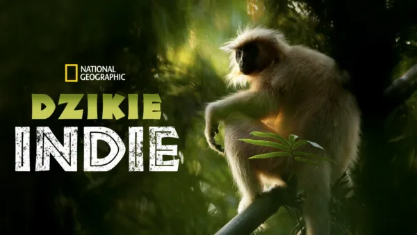 thumbnail - Dzikie Indie