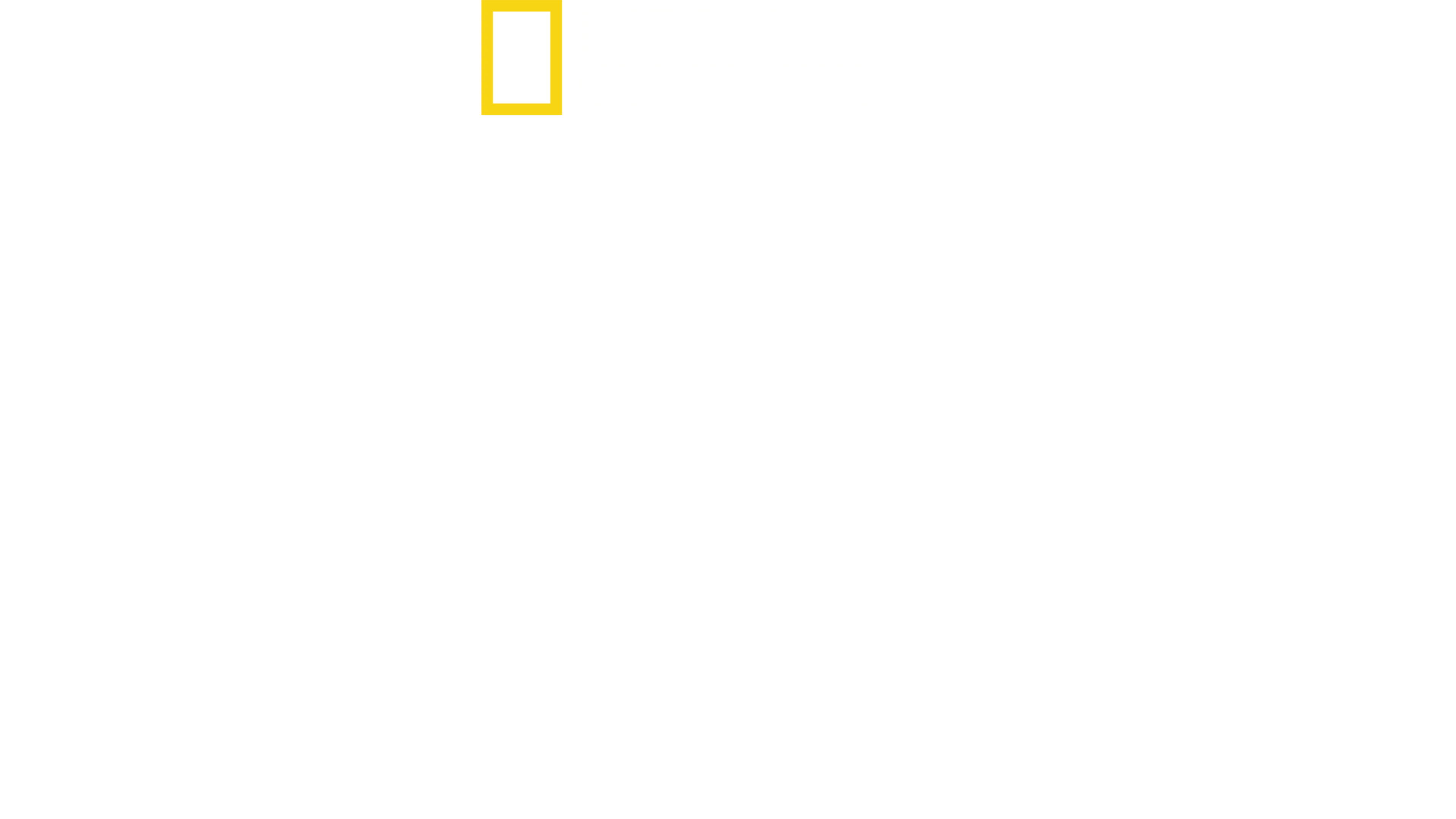 하와이: 불의 여신 상어