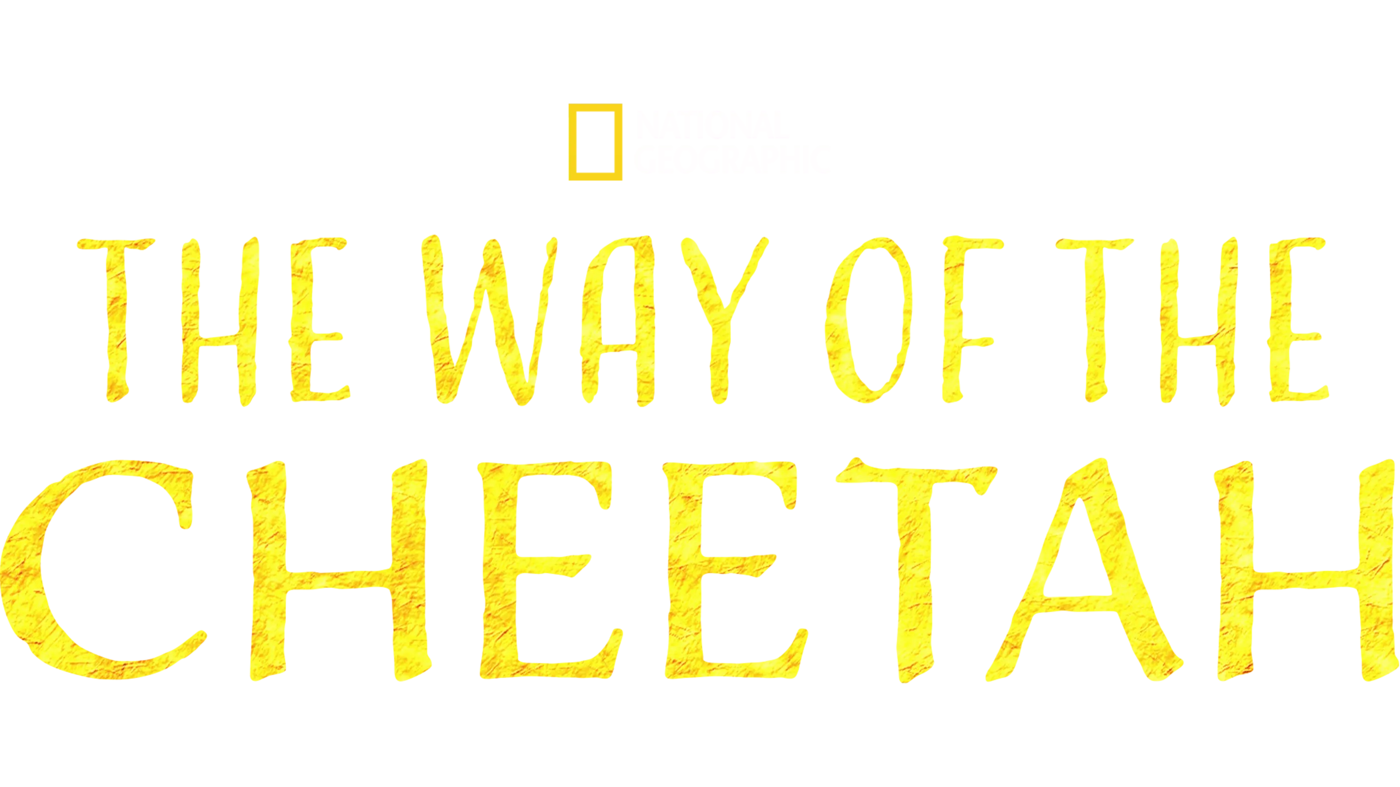 The Way of the Cheetah