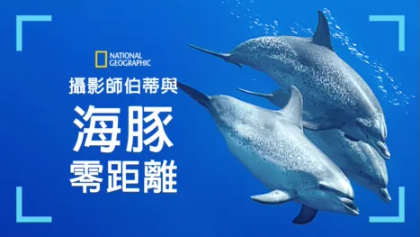 thumbnail - 攝影師伯蒂與海豚零距離