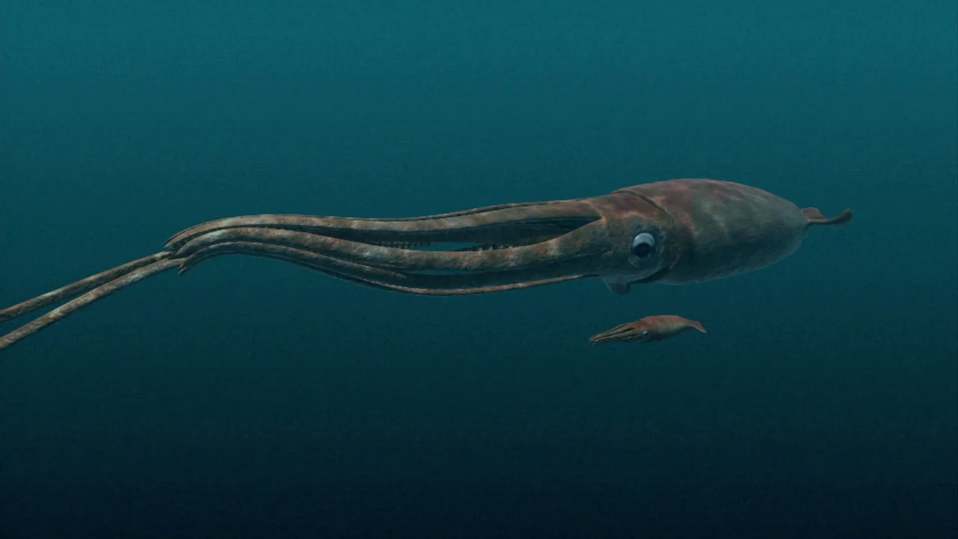 thumbnail - M1:Ep3 Giant Squid Found?