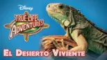 thumbnail - El desierto viviente