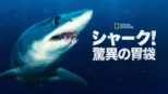 thumbnail - シャーク！驚異の胃袋