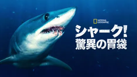 thumbnail - シャーク！驚異の胃袋