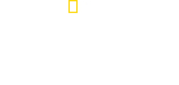 Η Δυναστεία της Βόρειας Κορέας