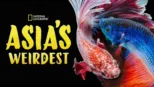 thumbnail - Asia's Weirdest