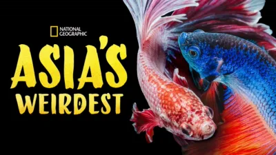 Asia's Weirdest