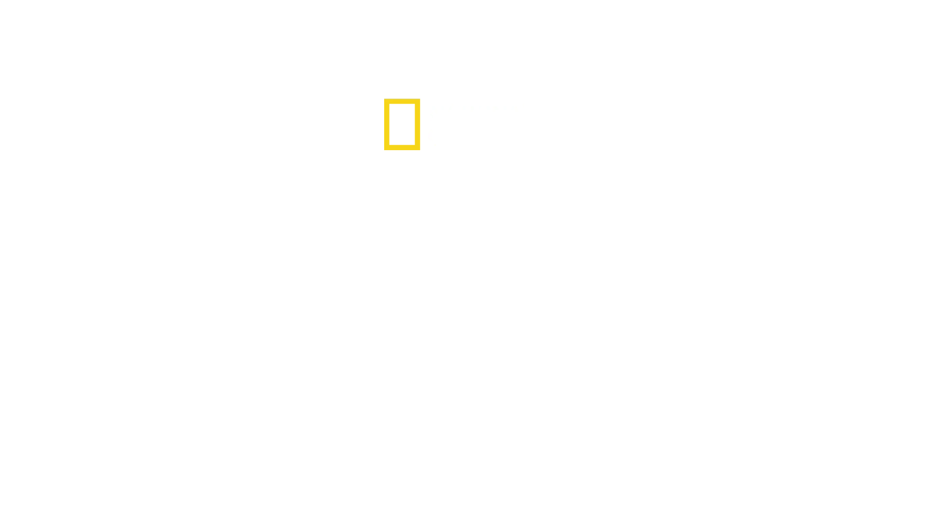 IMPACT with Gal Gadot