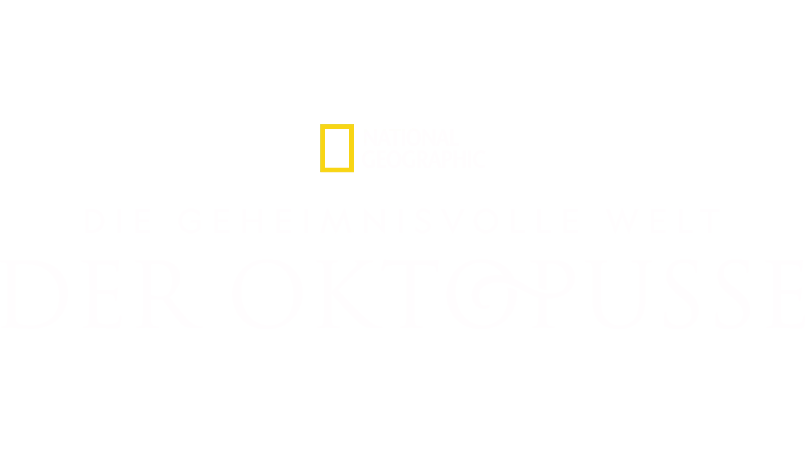 Die geheimnisvolle Welt der Oktopusse