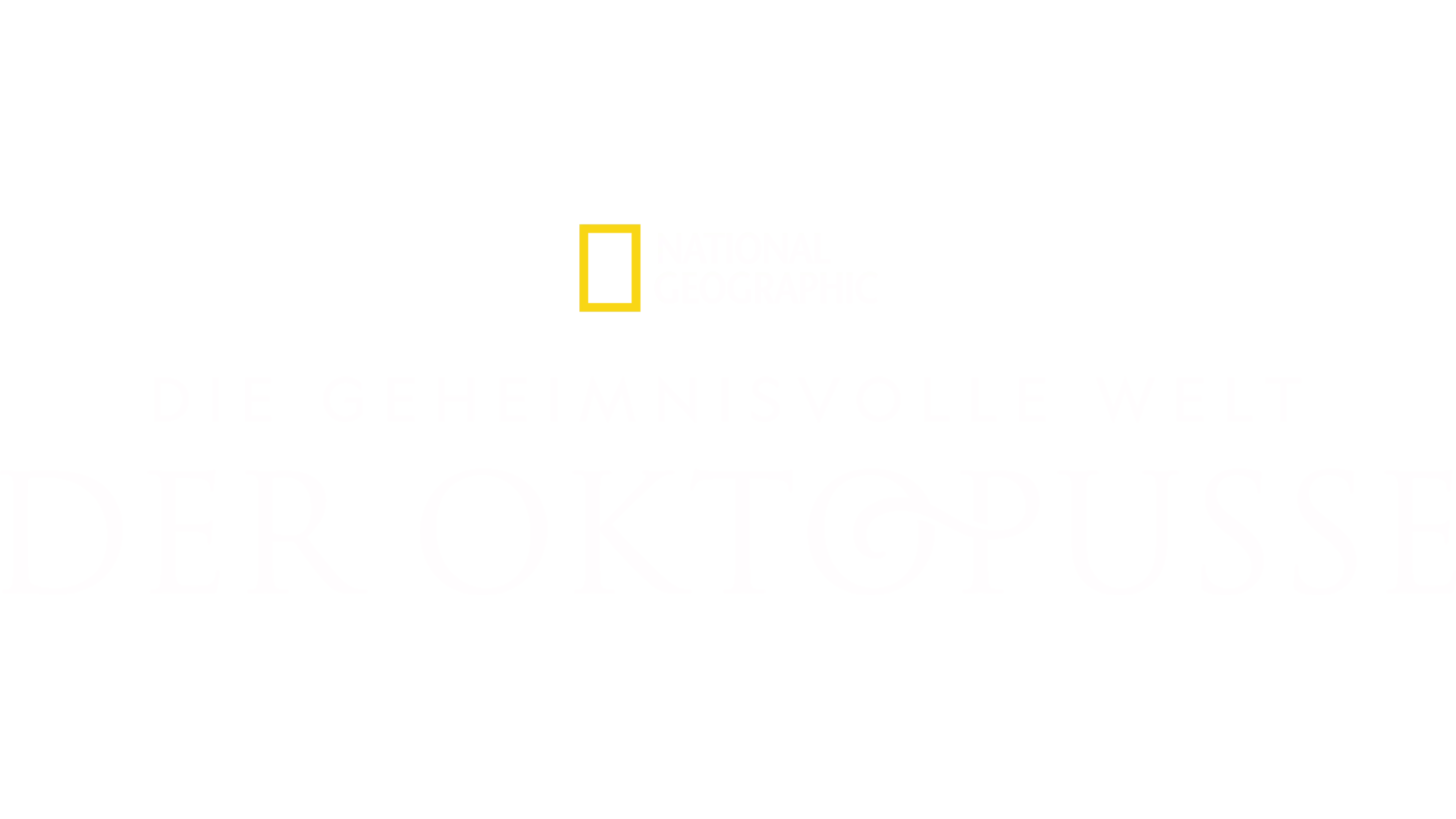 Die geheimnisvolle Welt der Oktopusse