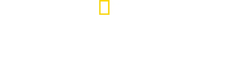 Die geheimnisvolle Welt der Oktopusse