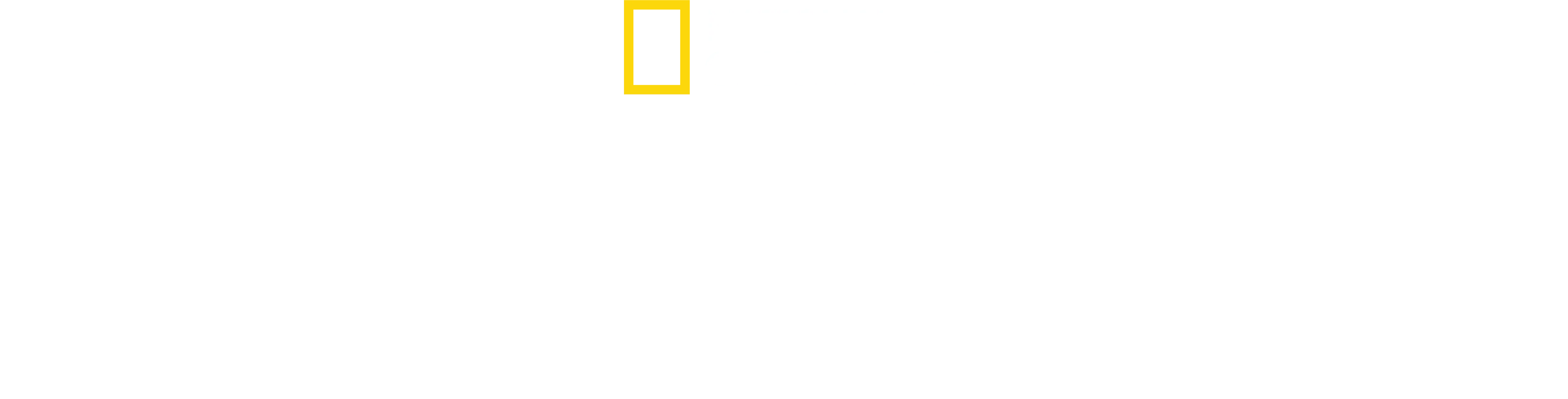 Die geheimnisvolle Welt der Oktopusse