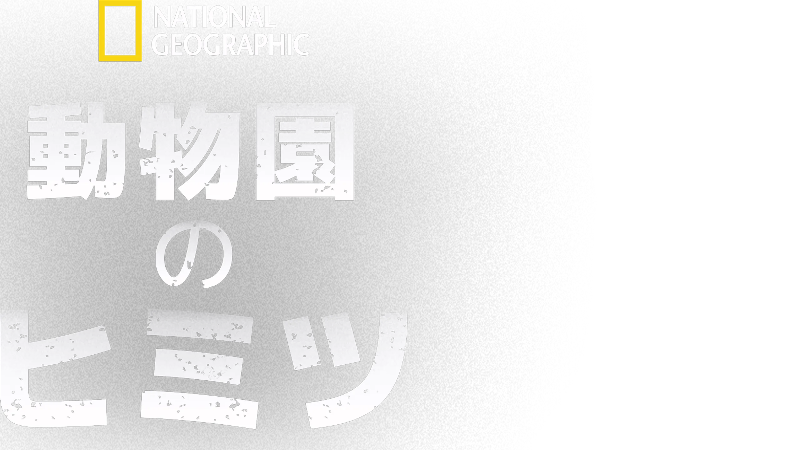動物園のヒミツ