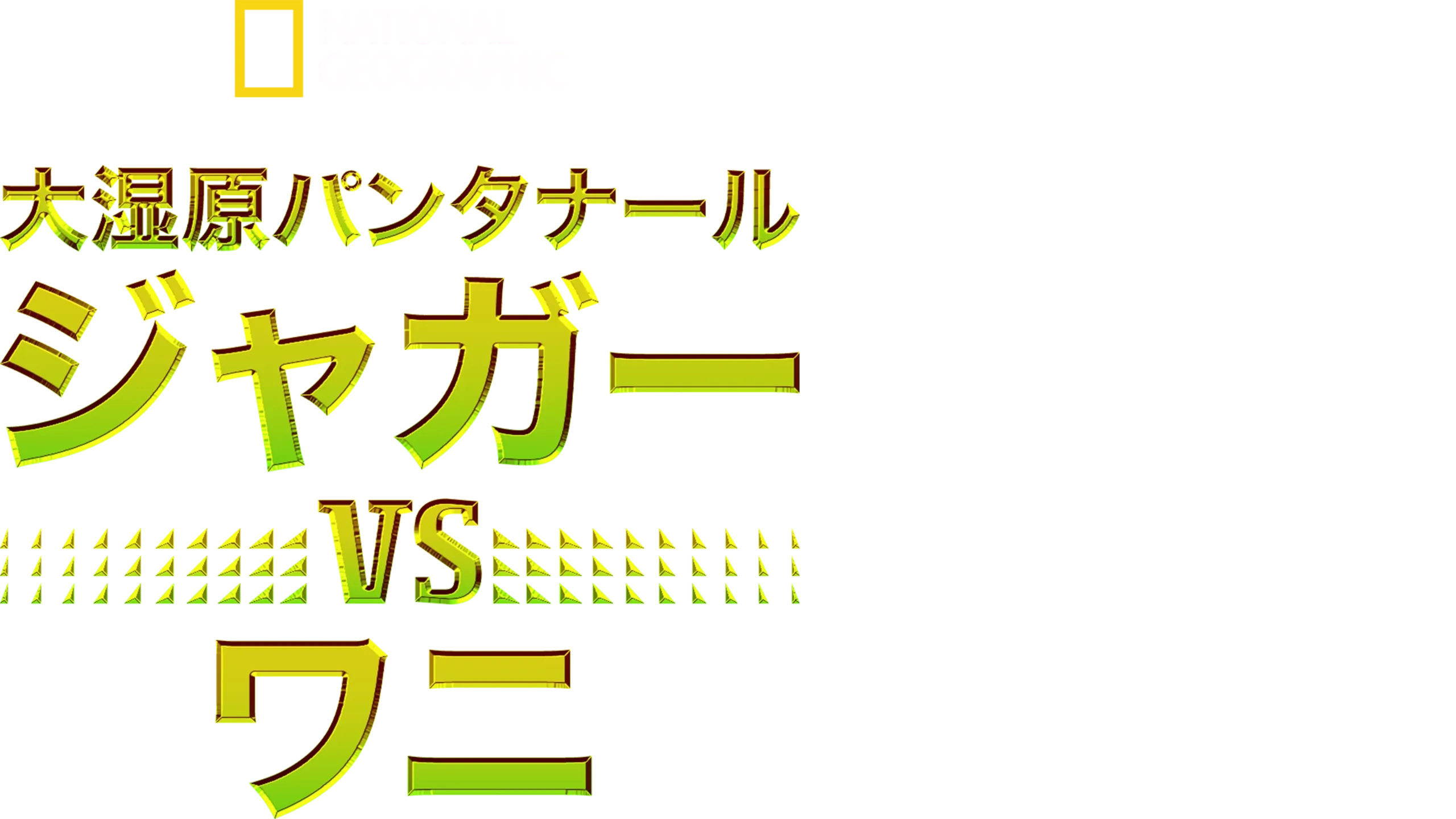 大湿原パンタナール：ジャガー vs ワニ
