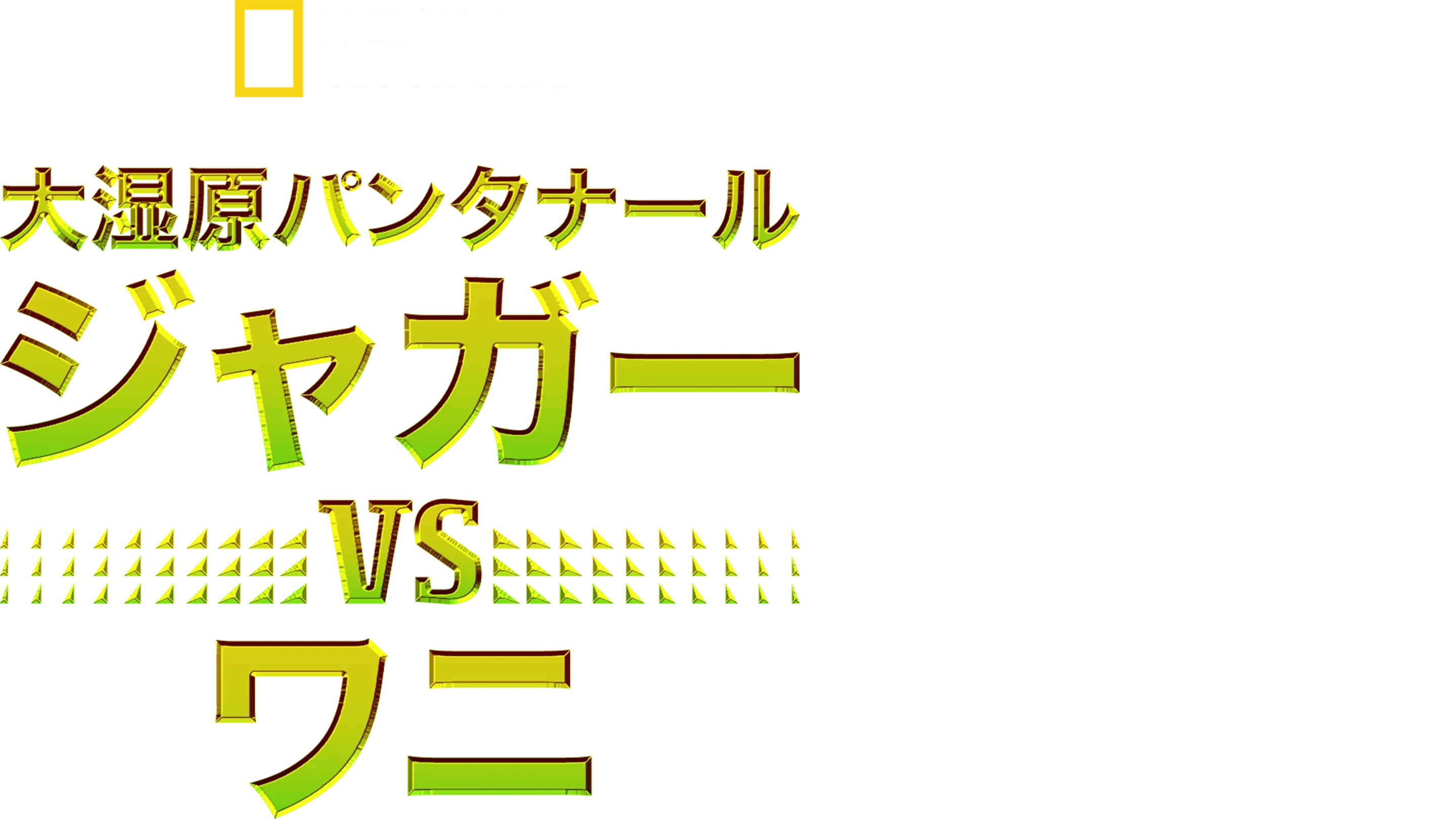 大湿原パンタナール：ジャガー vs ワニ