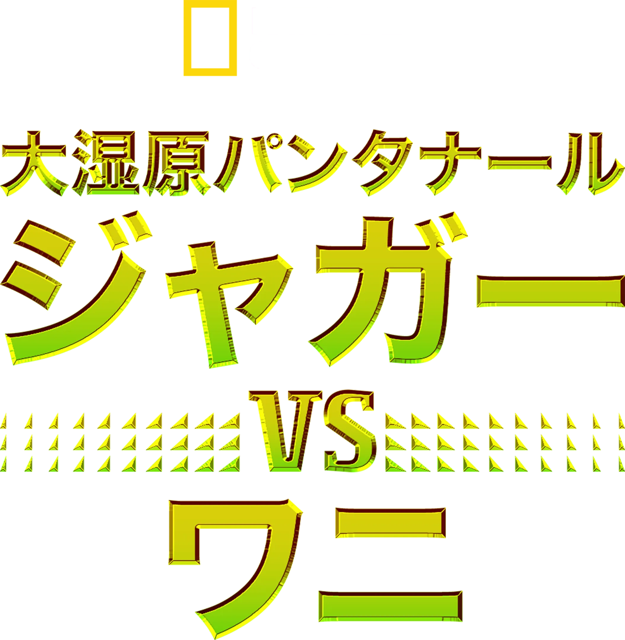 大湿原パンタナール：ジャガー vs ワニ