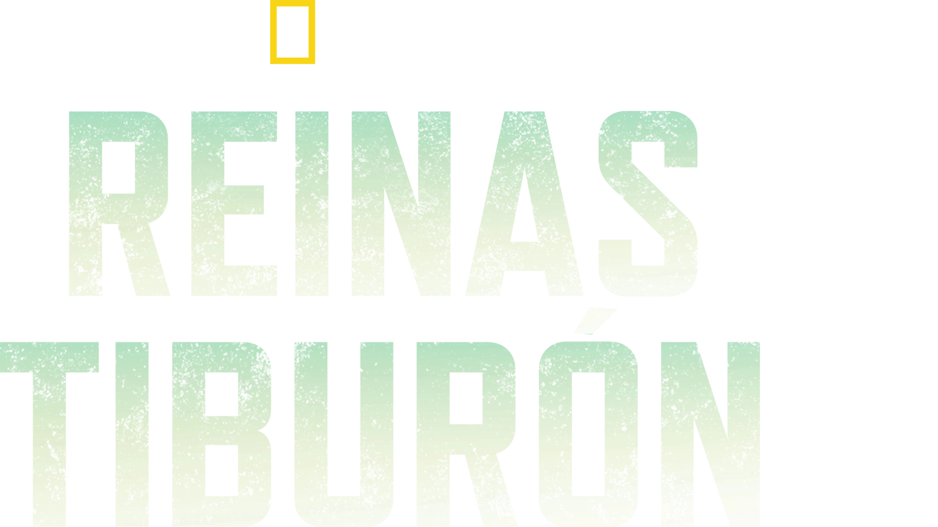 Reinas tiburón