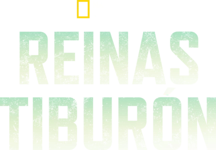 Reinas tiburón