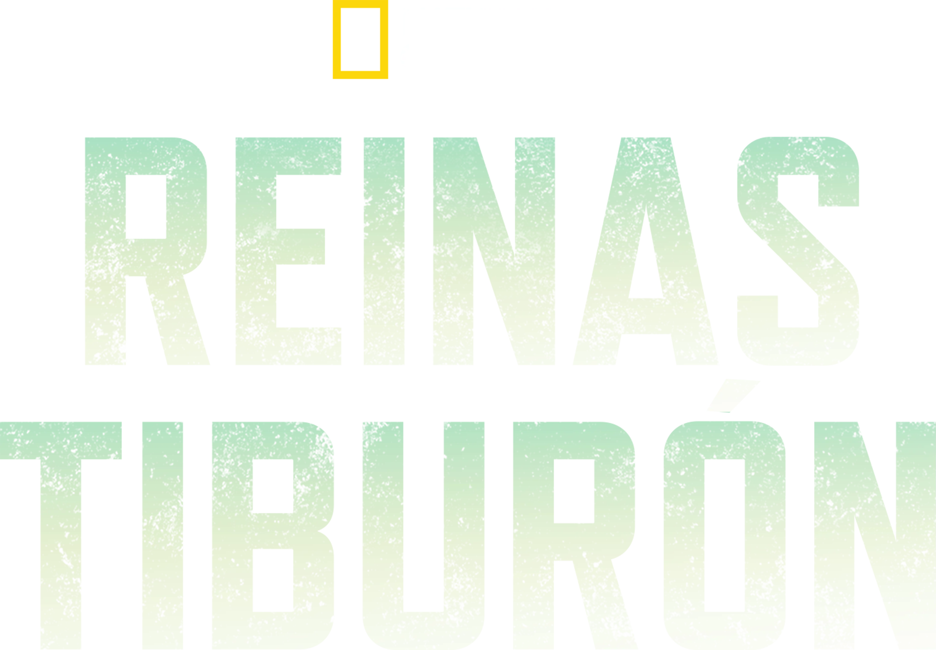 Reinas tiburón
