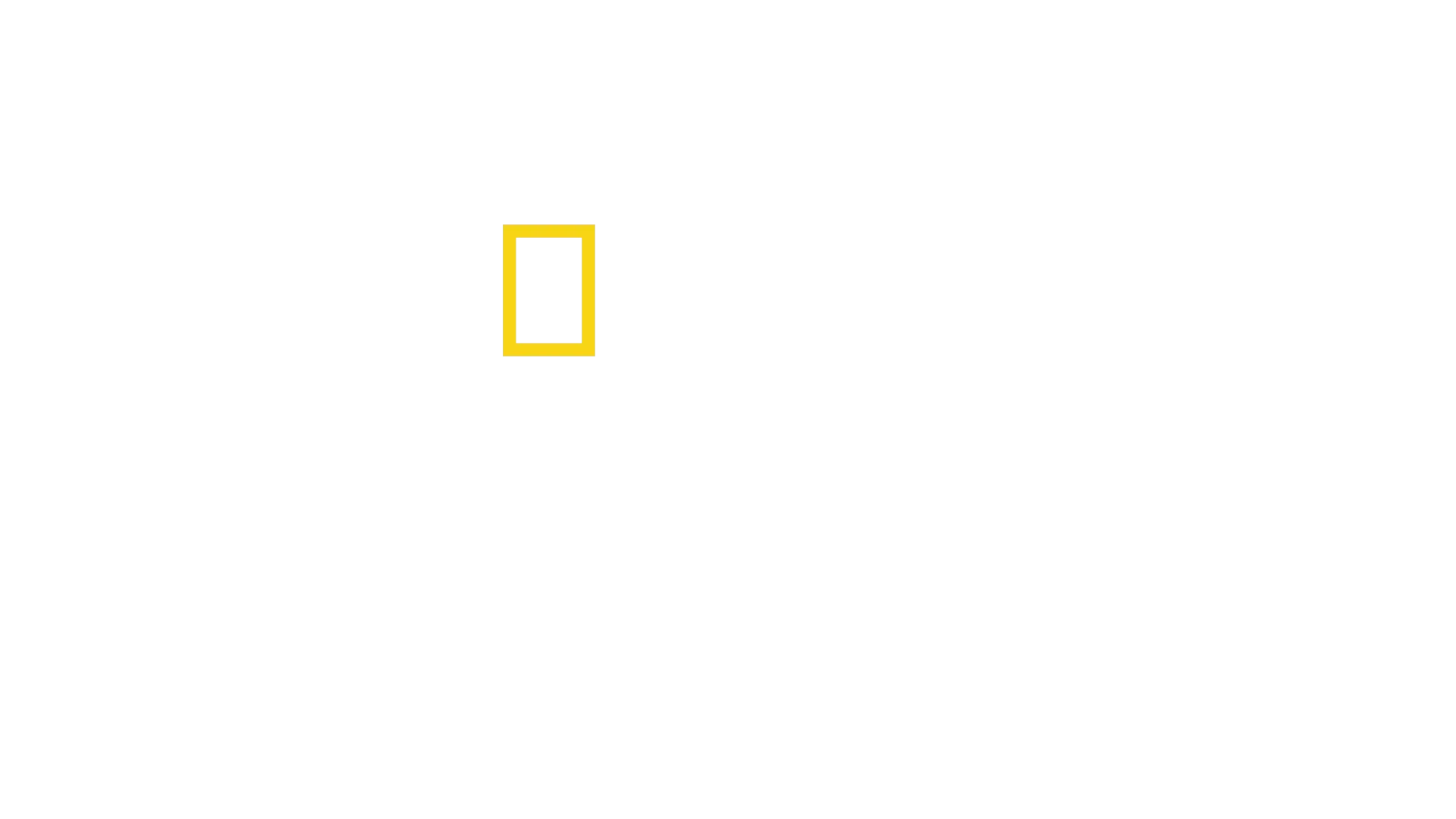 Les Dents de la mer : les secrets d'un film culte
