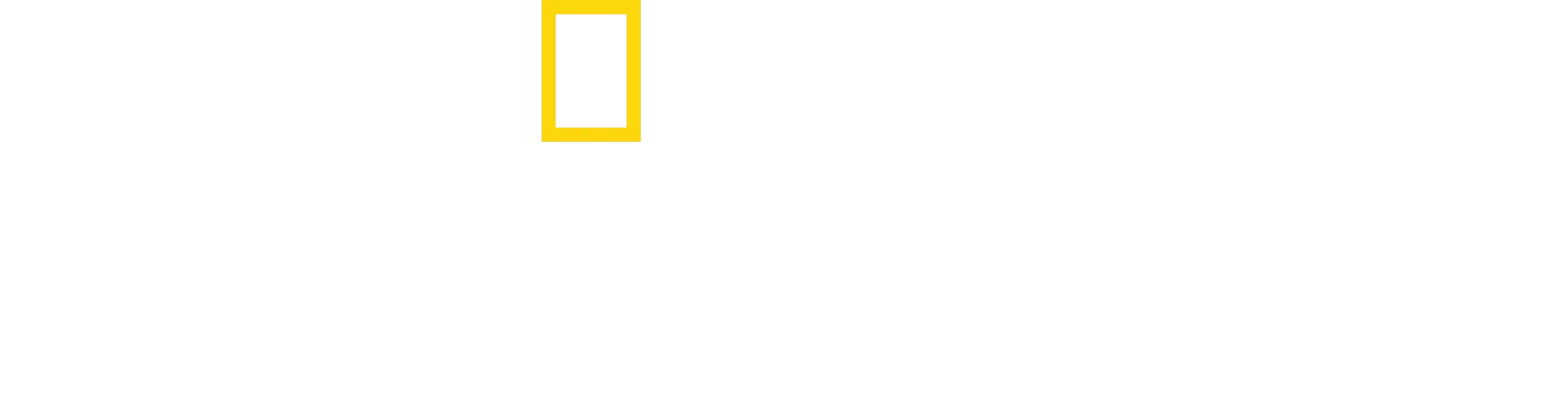 Les Dents de la mer : les secrets d'un film culte